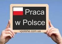 Новина Украинцам станет труднее устроиться на работу в Польше Робота і Труд