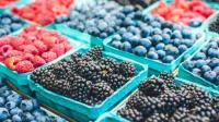 Статья Украина резко нарастила экспорт ягод и орехов: кому продаем? Работа и Труд