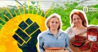 Статья Як сестри з Донецька вирощують мікрогрін та виготовляють страви тривалого зберігання Работа и Труд