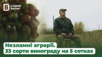 Стаття Незламні аграрії: А ви не підкажете, де живе Володимир Васильович Новоженов? Робота і Труд