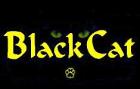 Компания Blackcat Работа и Труд