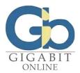Компания Gigabit, Інтернет-мережа Работа и Труд
