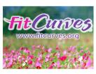 Компания Fit Curves, фітнес-клуб Работа и Труд