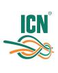 Компания ICN, провайдер Работа и Труд