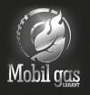 Компания Mobil-gas Garant, СТО Работа и Труд