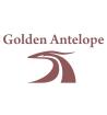 Компания Золота Антилопа, салон-ательє Работа и Труд
