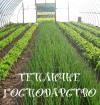 Компания Тепличне господарство в с. Новоолександрівка Работа и Труд